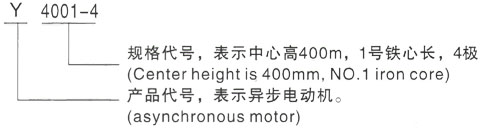 西安泰富西玛Y系列(H355-1000)高压YE2-132S1-2三相异步电机型号说明