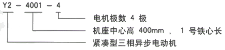 YR系列(H355-1000)高压YE2-132S1-2三相异步电机西安西玛电机型号说明